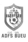 A.D.F.S. Bueu Grupo Roslev