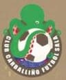 Carballiño F.S. -Gri Carballiño-
