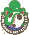 Carballiño F.S. -Gri Carballiño-